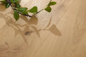 Oak Laura